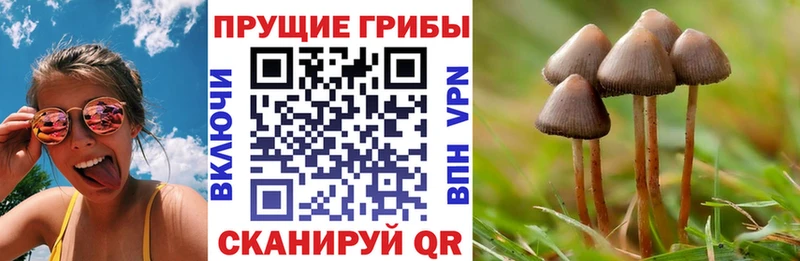 где найти   Тбилисская  mega маркетплейс  Псилоцибиновые грибы MAGIC MUSHROOMS 